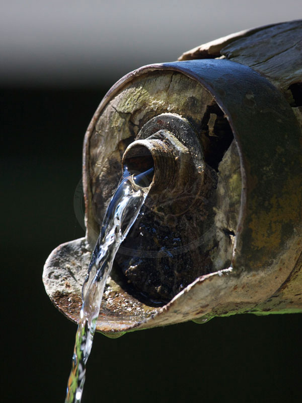 water fountain sprout