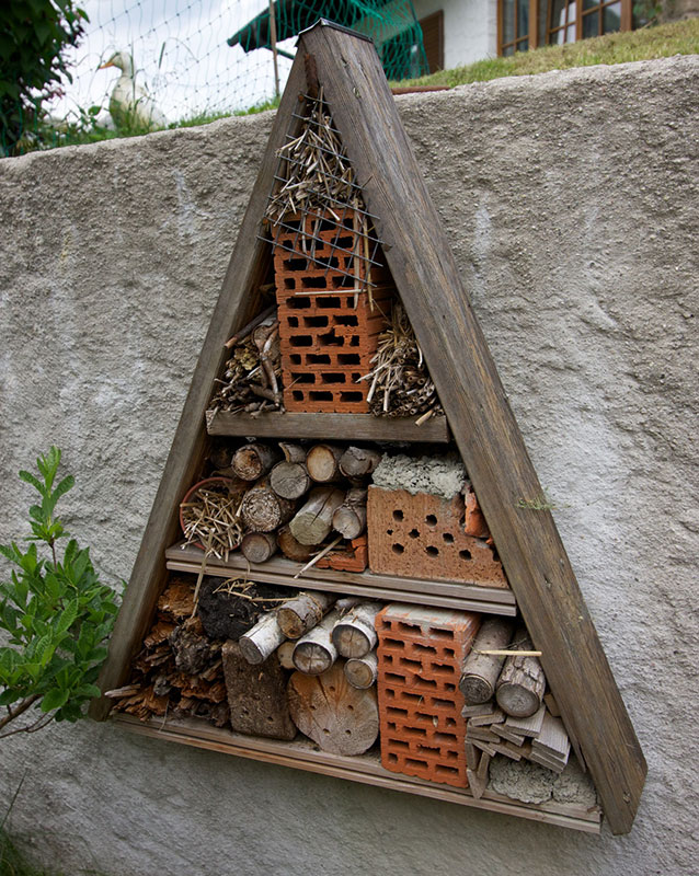 insect hotel variat