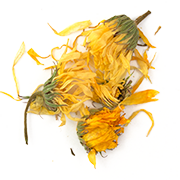 calendula