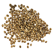 hemp seed