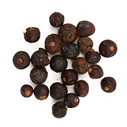 juniper berry