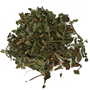 melissa officinalis