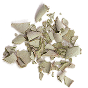 sage leaf