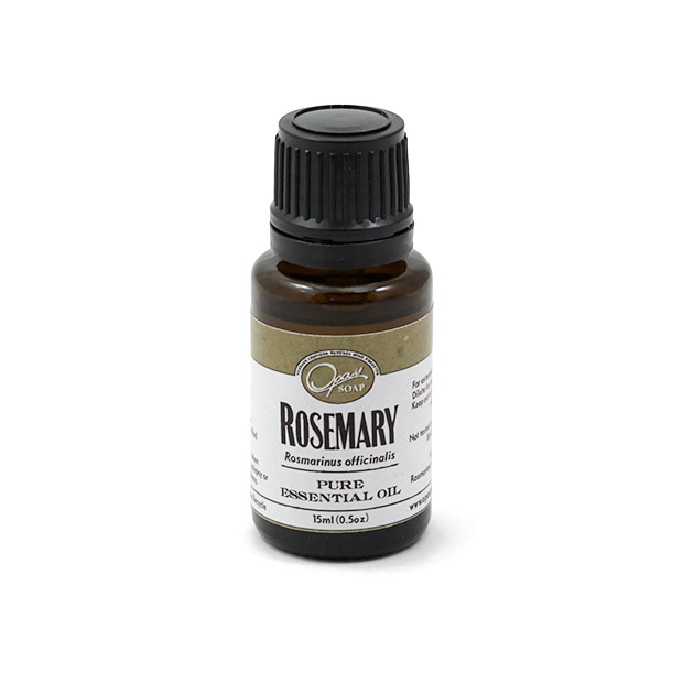 Rosemary (Rosmarinus officinalis) Rosemary (Rosmarinus officinalis)