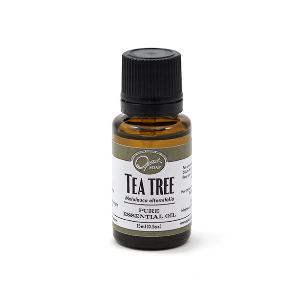Tea Tree Organic (Melaleuca alternifolia) Tea Tree Organic (Melaleuca alternifolia)
